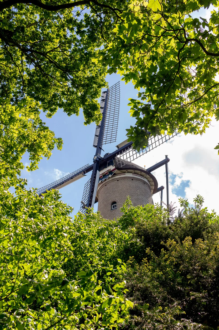 Molen tussen de bomen
